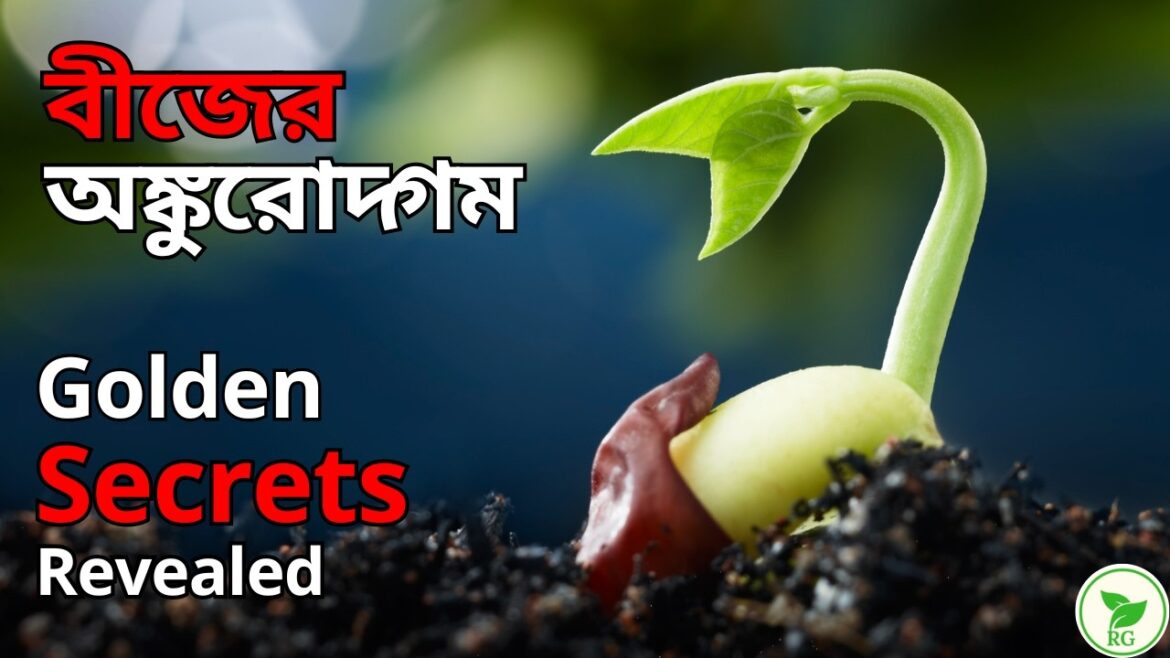 বীজের Germination-এ যে ভুলগুলি করবেন না | Don’t Sow Vegetable Seeds Before Watching This Video! বীজের Germination-এ যে ভুলগুলি করবেন না | Don’t Sow Vegetable Seeds Before Watching This Video!