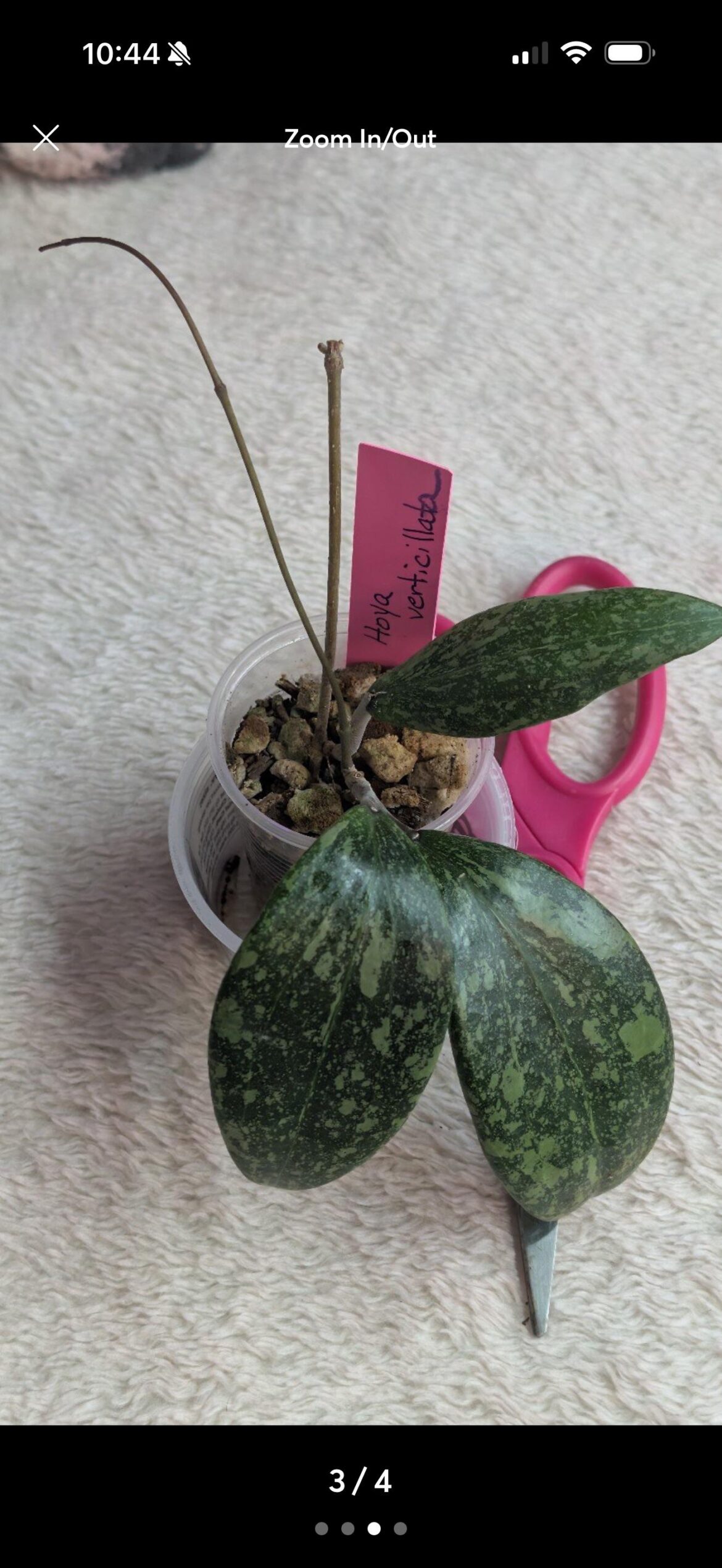 ID help?
