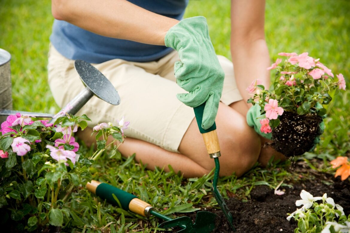 Gardening: More Than Just Flavor Benefits