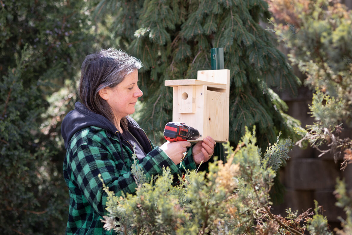 May Gardening: The Queen of Spring is Here May Gardening: The Queen of Spring is Here
