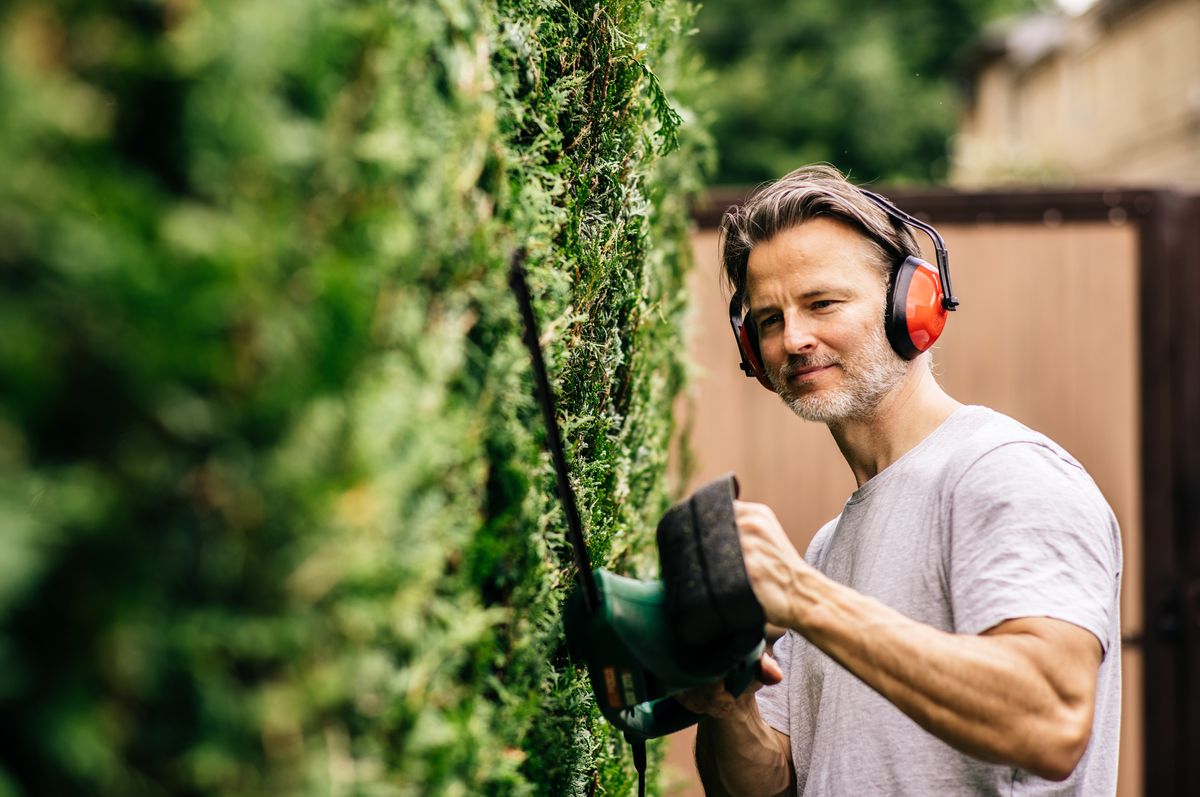 A man trimming the hedge in his garden