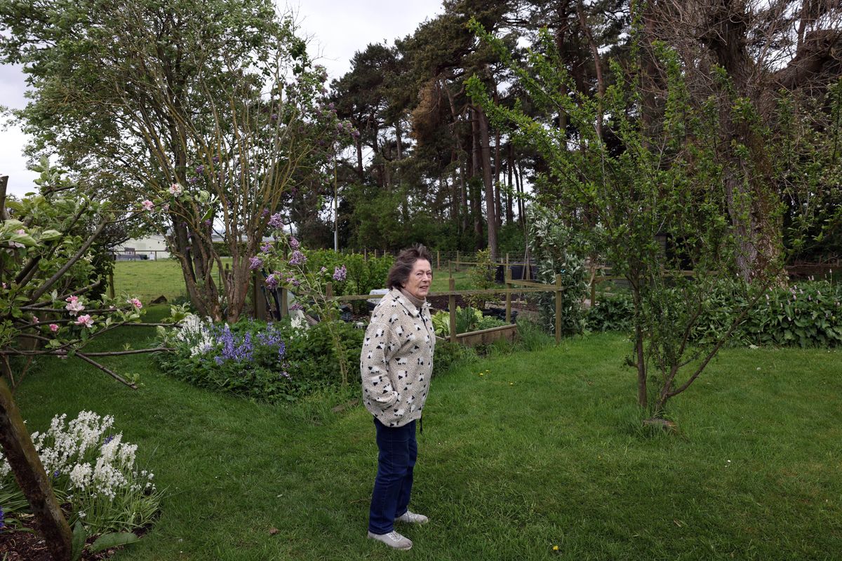 Margaret O'Neill, 84, in the garden which she has cultivated for over 30 years