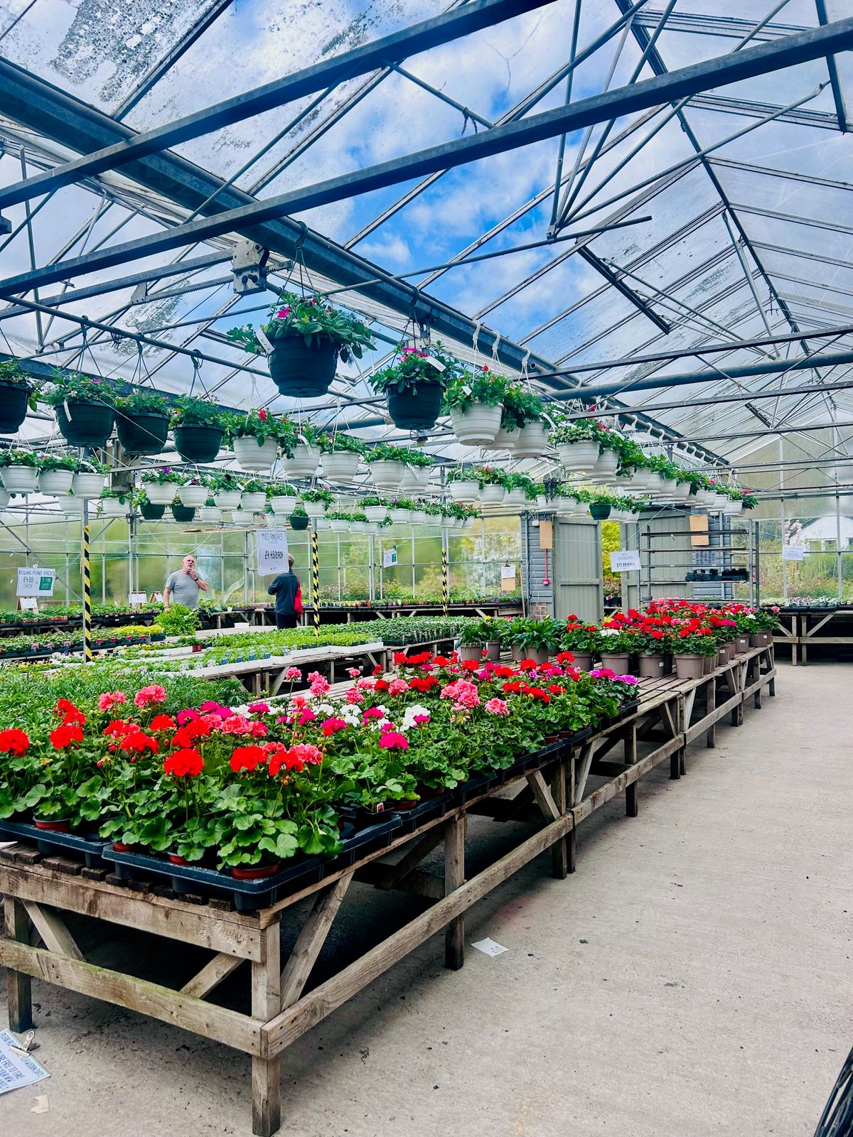 Lymefield Garden Centre, Farm Shop and Tea Room sells a range of seasonal plants, summer bedding, perennials, or fruit trees