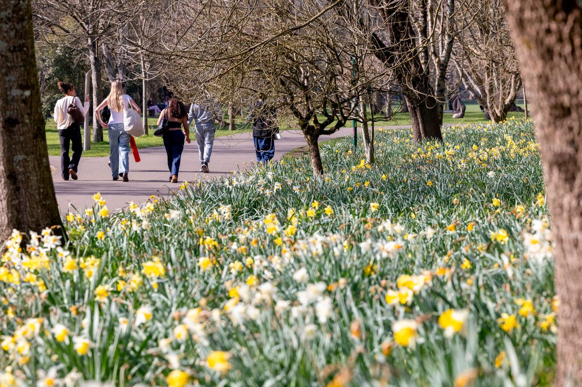People out in Bute Park, Cardiff,  on a spring day