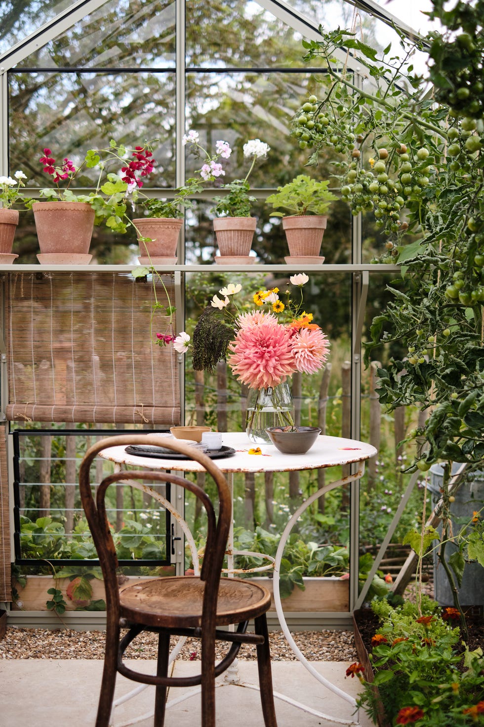 A greenhouse interior featuring fitted shades, potted plants on a shelf, and dahlias in a vase on bistro table