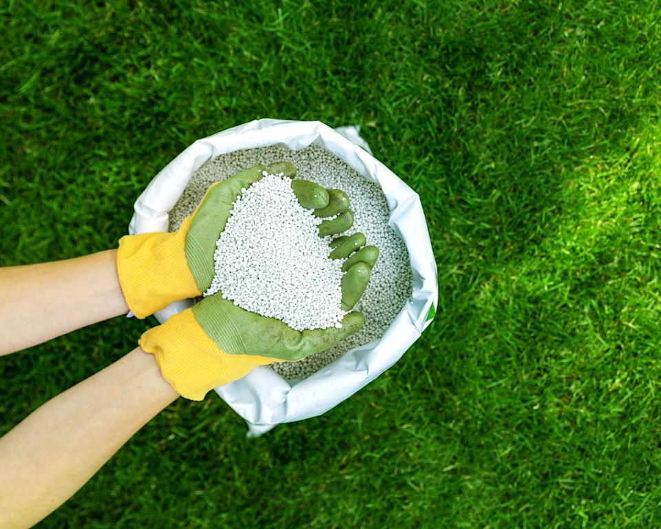 lawn fertilizer for strong grass root and shoot growth
