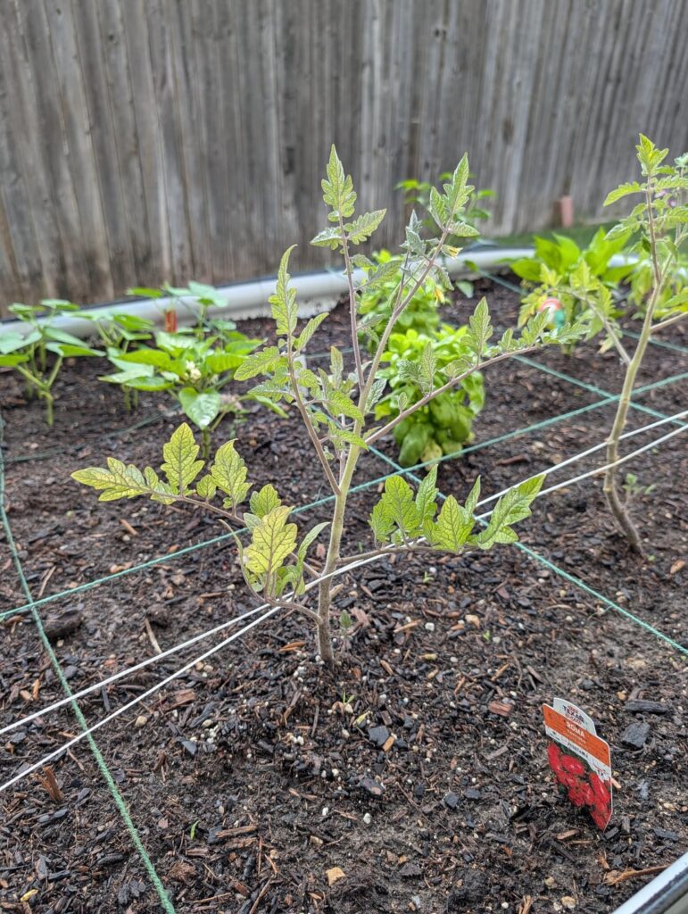 Disease or Nutrition Issue?