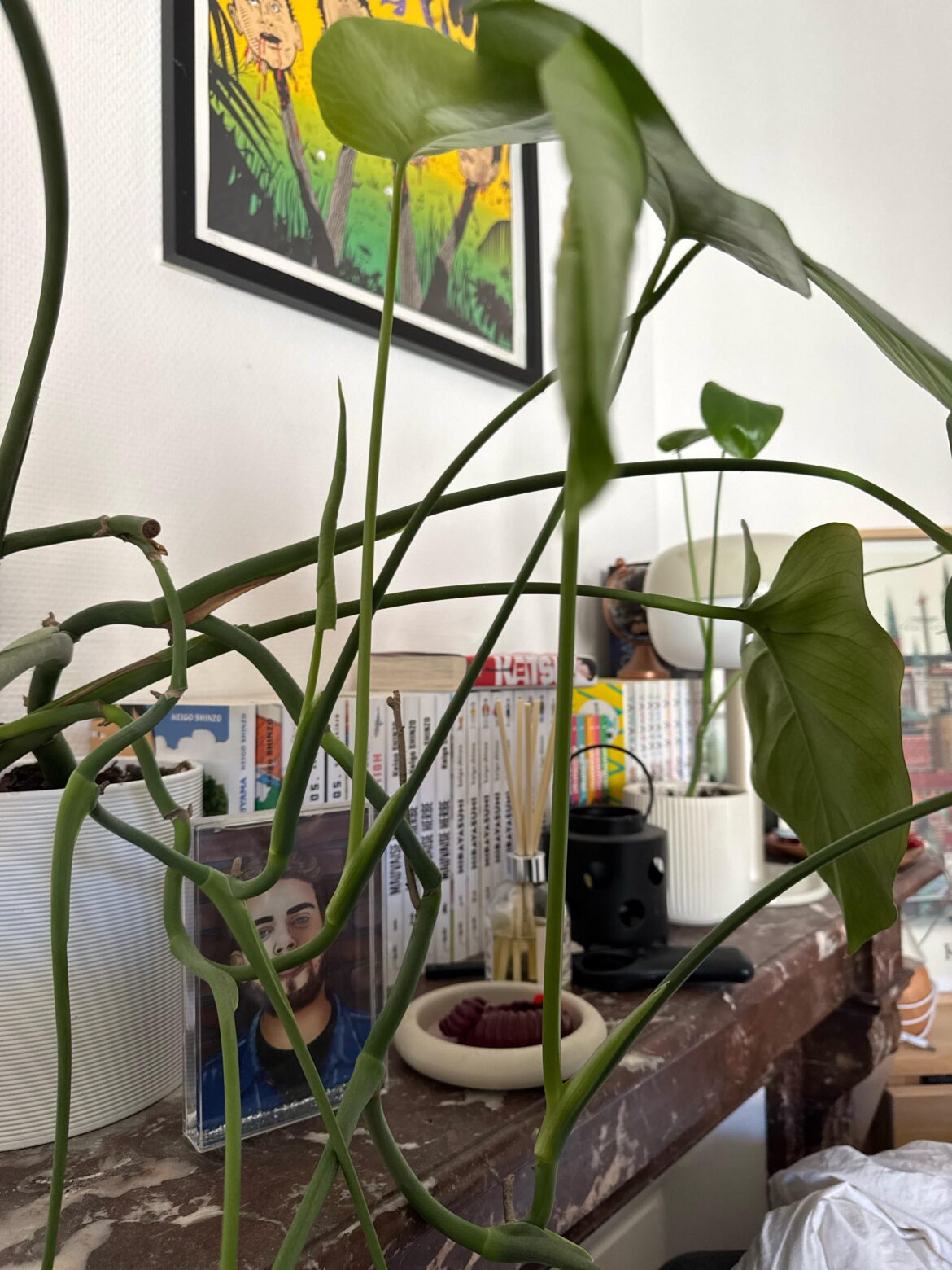 Three new babies