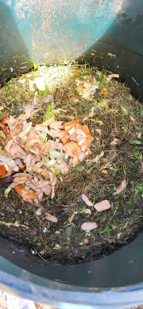 New to composting New to composting