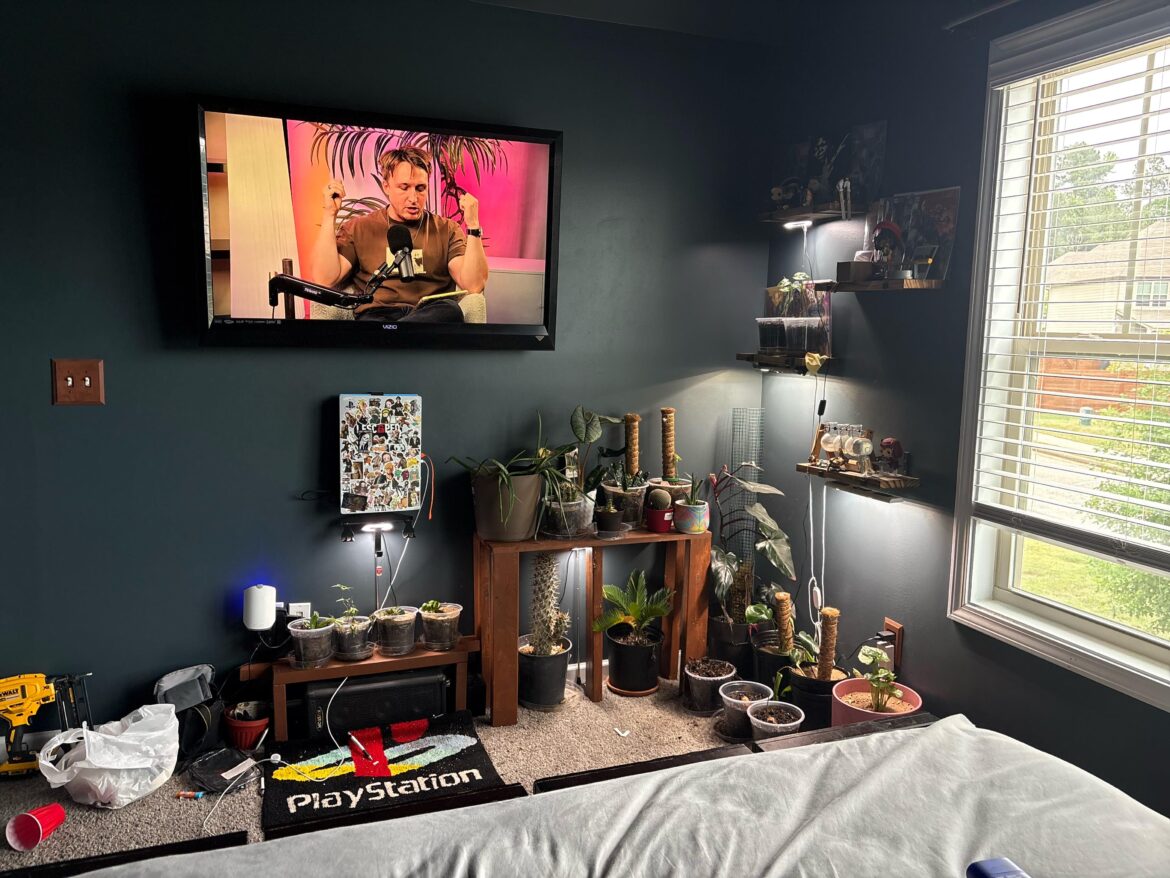I need new plant lightssss