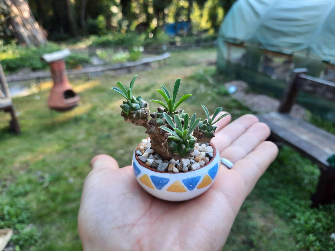 My smallest guy