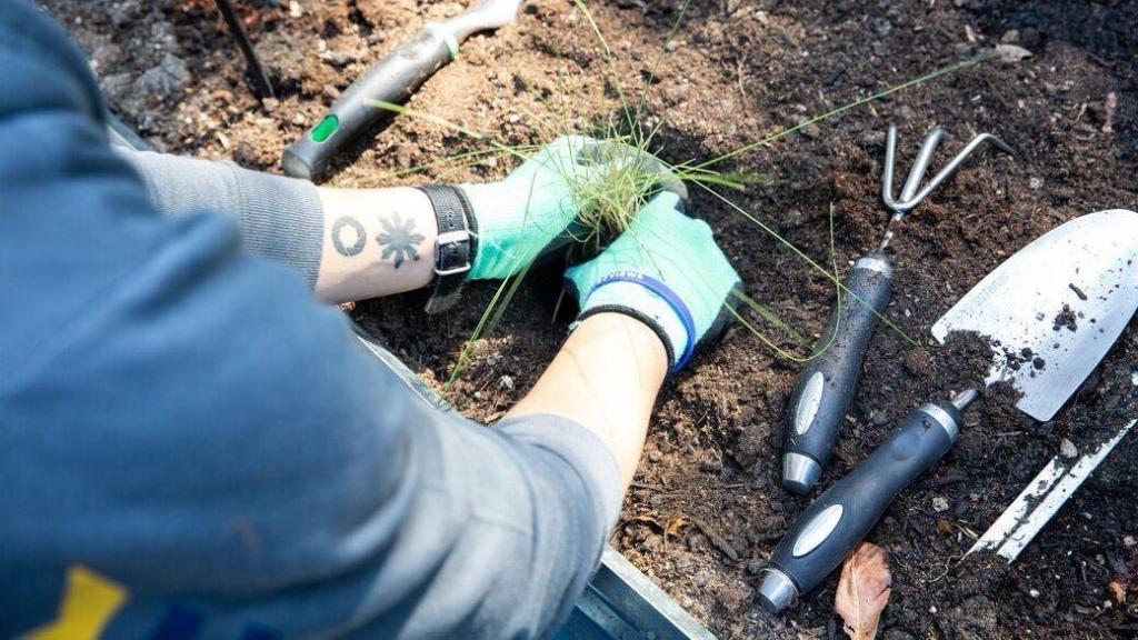 Gardening season is here: Tips on how to start your first garden Gardening season is here: Tips on how to start your first garden