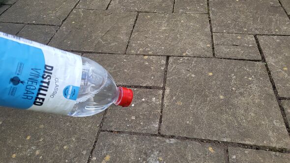White vinegar White vinegar