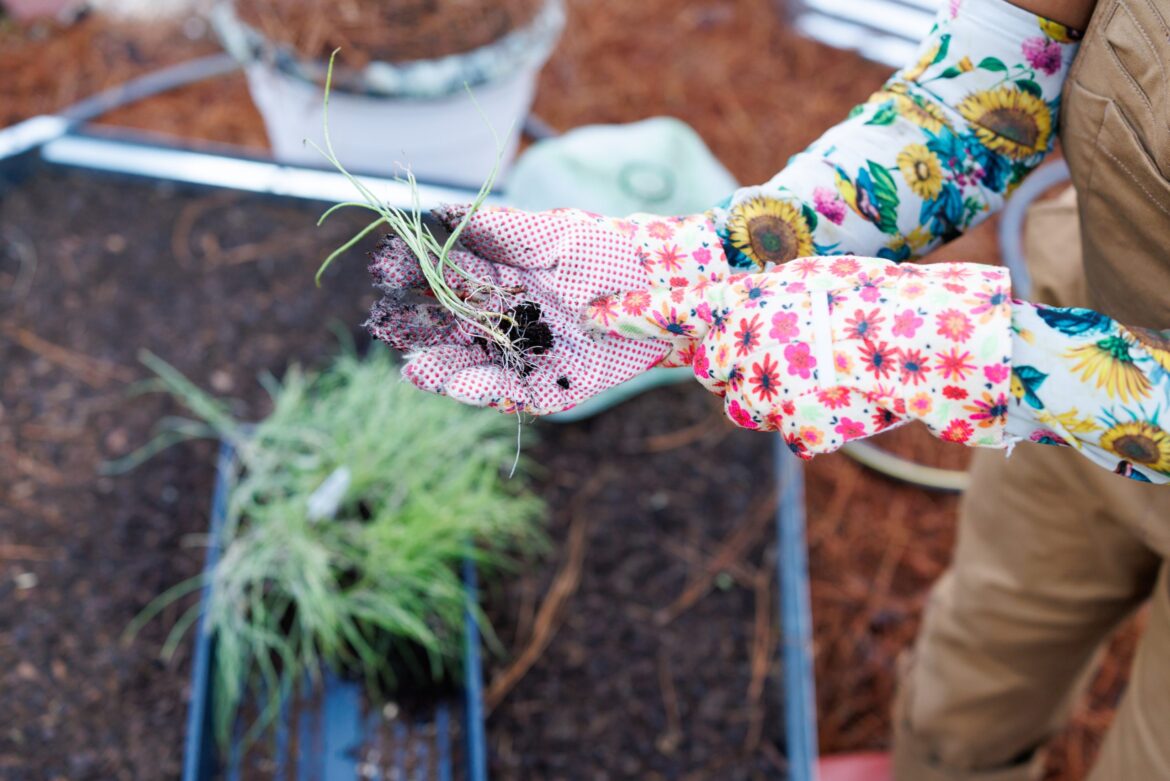 CityView’s May Magazine Explores Fayetteville’s Homes and Gardens CityView’s May Magazine Explores Fayetteville’s Homes and Gardens