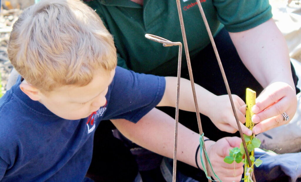 Gardens help children thrive, encourage healthy habits Gardens help children thrive, encourage healthy habits