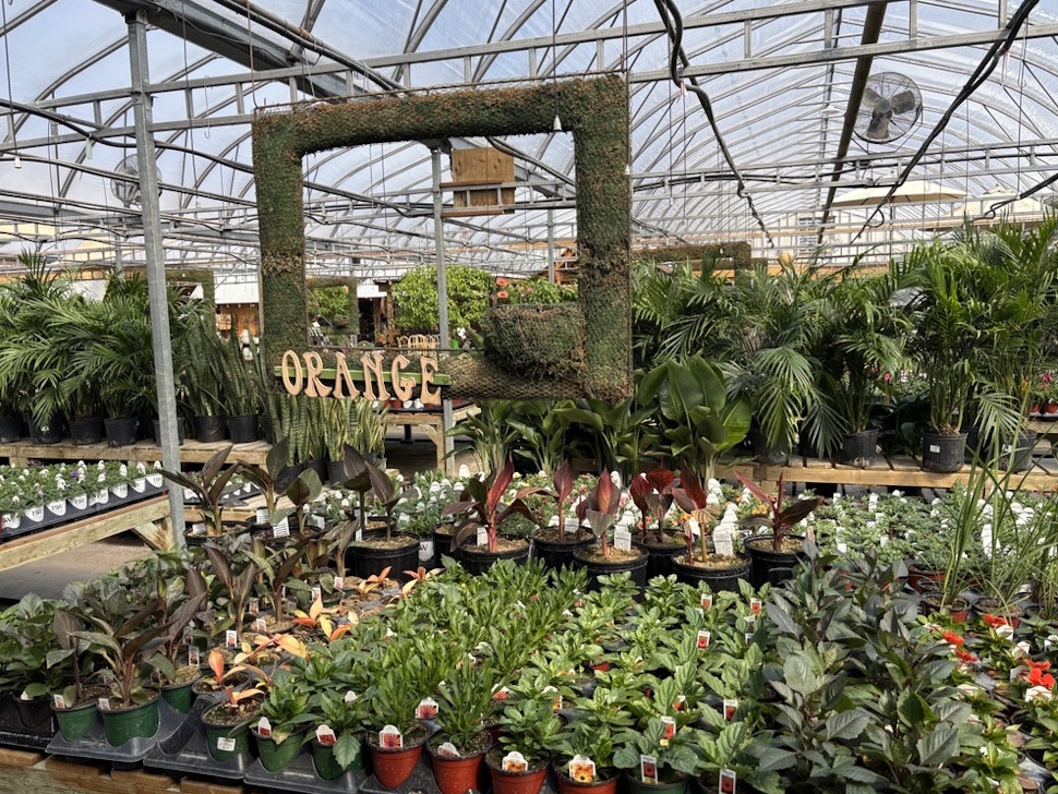 Spring gardening season blooms with advice from local expert – SteinbachOnline.com Spring gardening season blooms with advice from local expert - SteinbachOnline.com