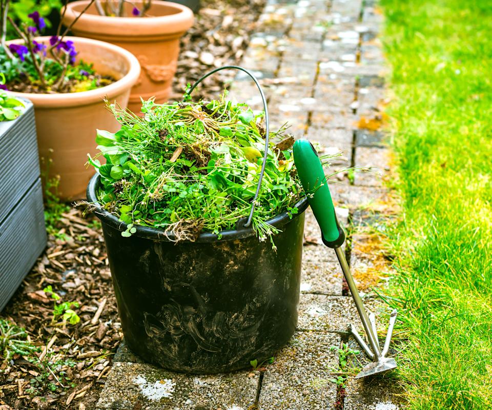 black bucket of weeds near trowel in garden
