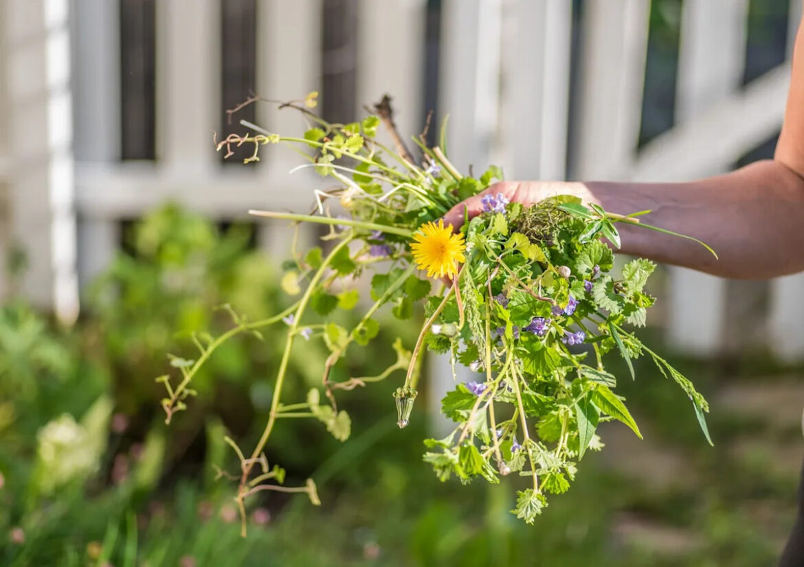 This Easy Gardening Trick Makes Weeding Less of a Hassle This Easy Gardening Trick Makes Weeding Less of a Hassle