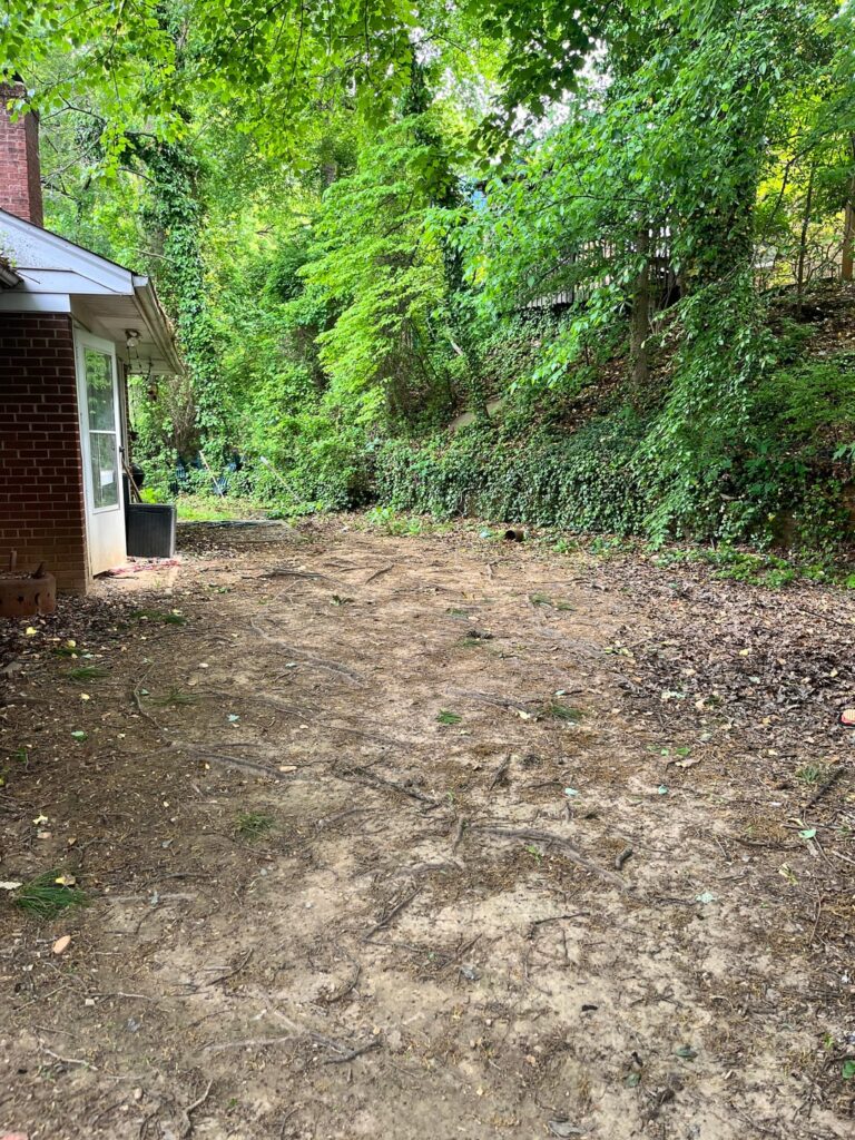 First time lawn owner First time lawn owner