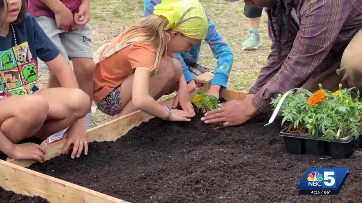 Integrated Arts Academy students dig into new community garden Integrated Arts Academy students dig into new community garden