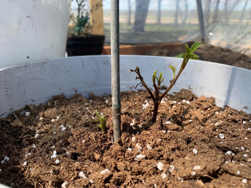 Are these okay?