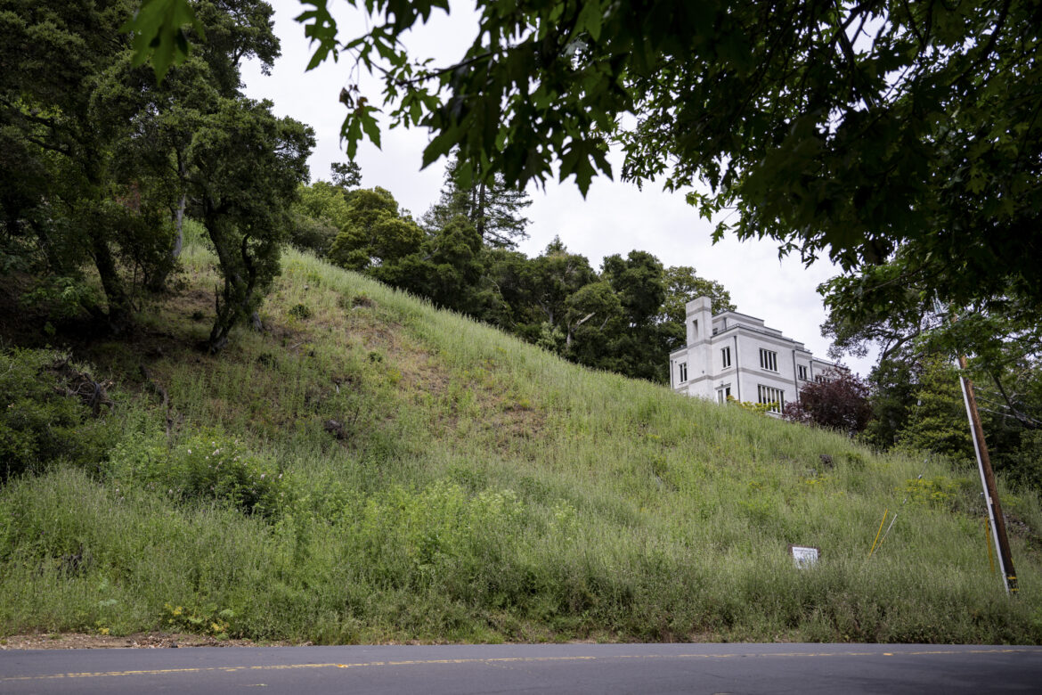 Oakland Fines Property Owners Nearly $1 Million for Cutting Down Protected Trees Oakland Fines Property Owners Nearly $1 Million for Cutting Down Protected Trees