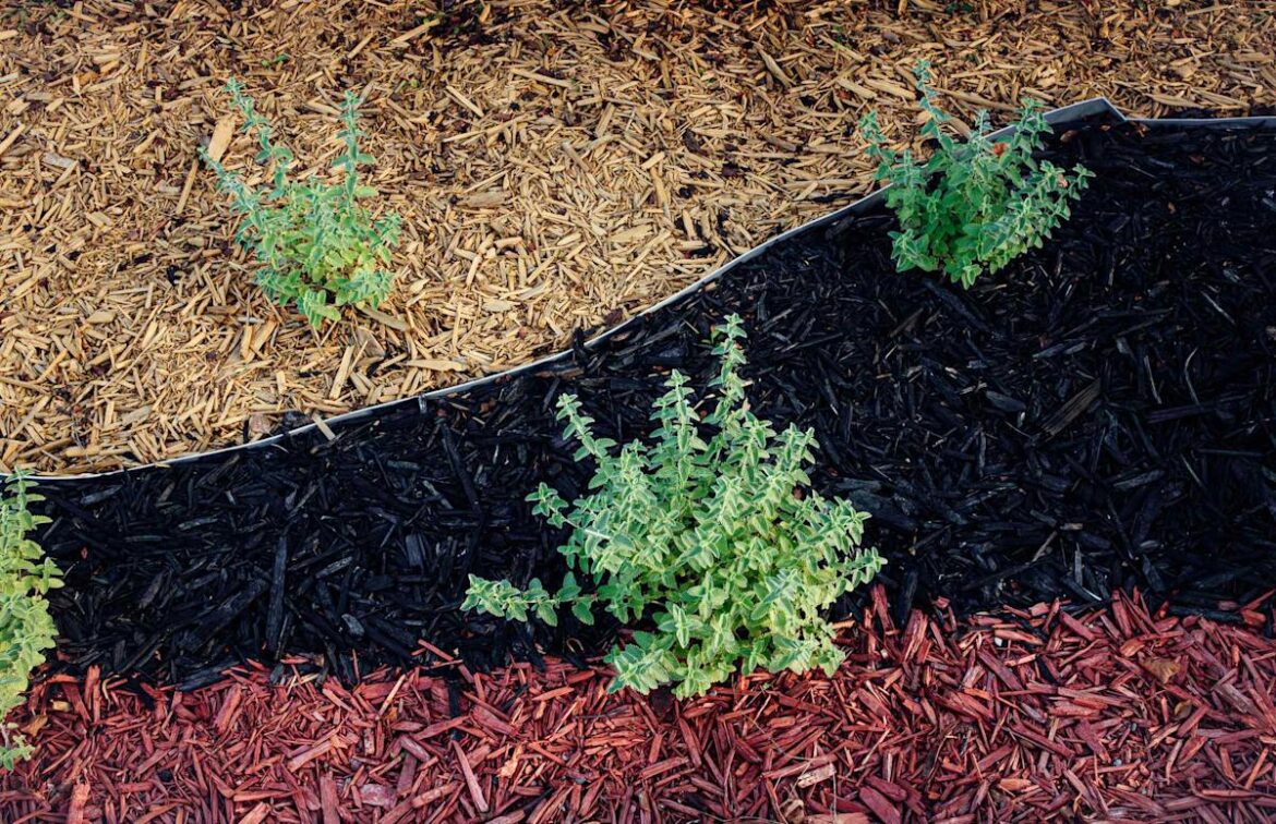Does Mulch Really Keep Weeds Away? Here’s What Gardening Experts Say