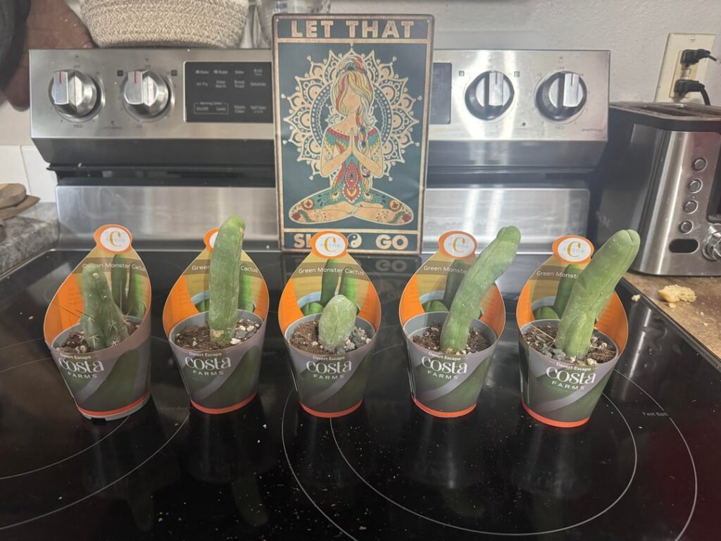 Walmart Score of a Lifetime
