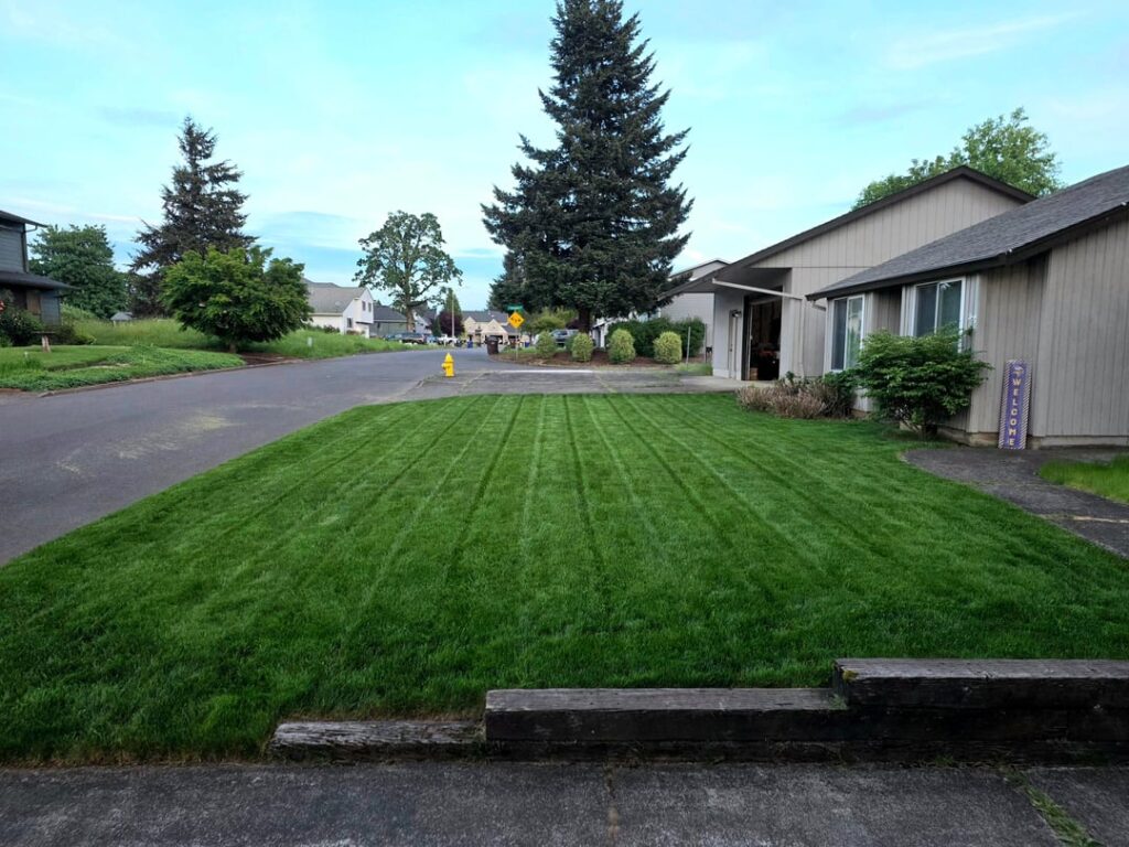 Im really liking this nice lawn thing OR 8b Im really liking this nice lawn thing OR 8b