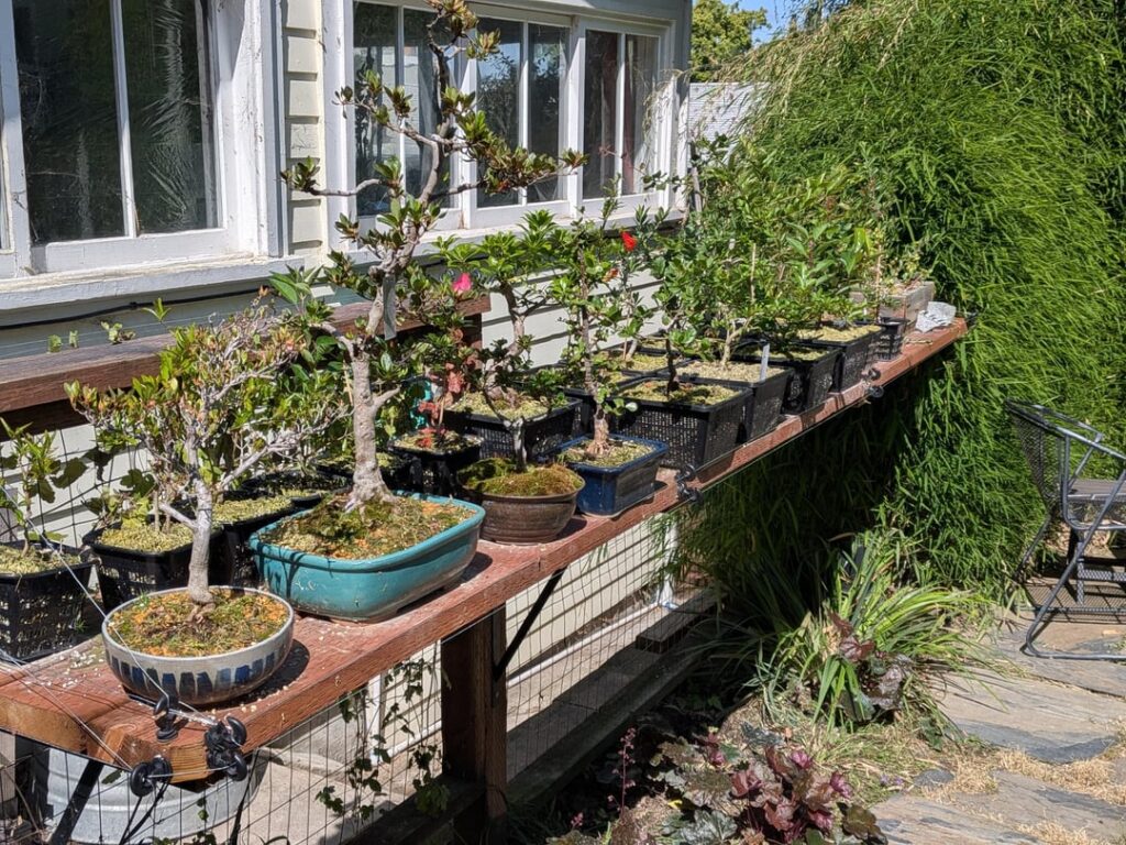 How I finally got the squirrels to leave my bench alone How I finally got the squirrels to leave my bench alone