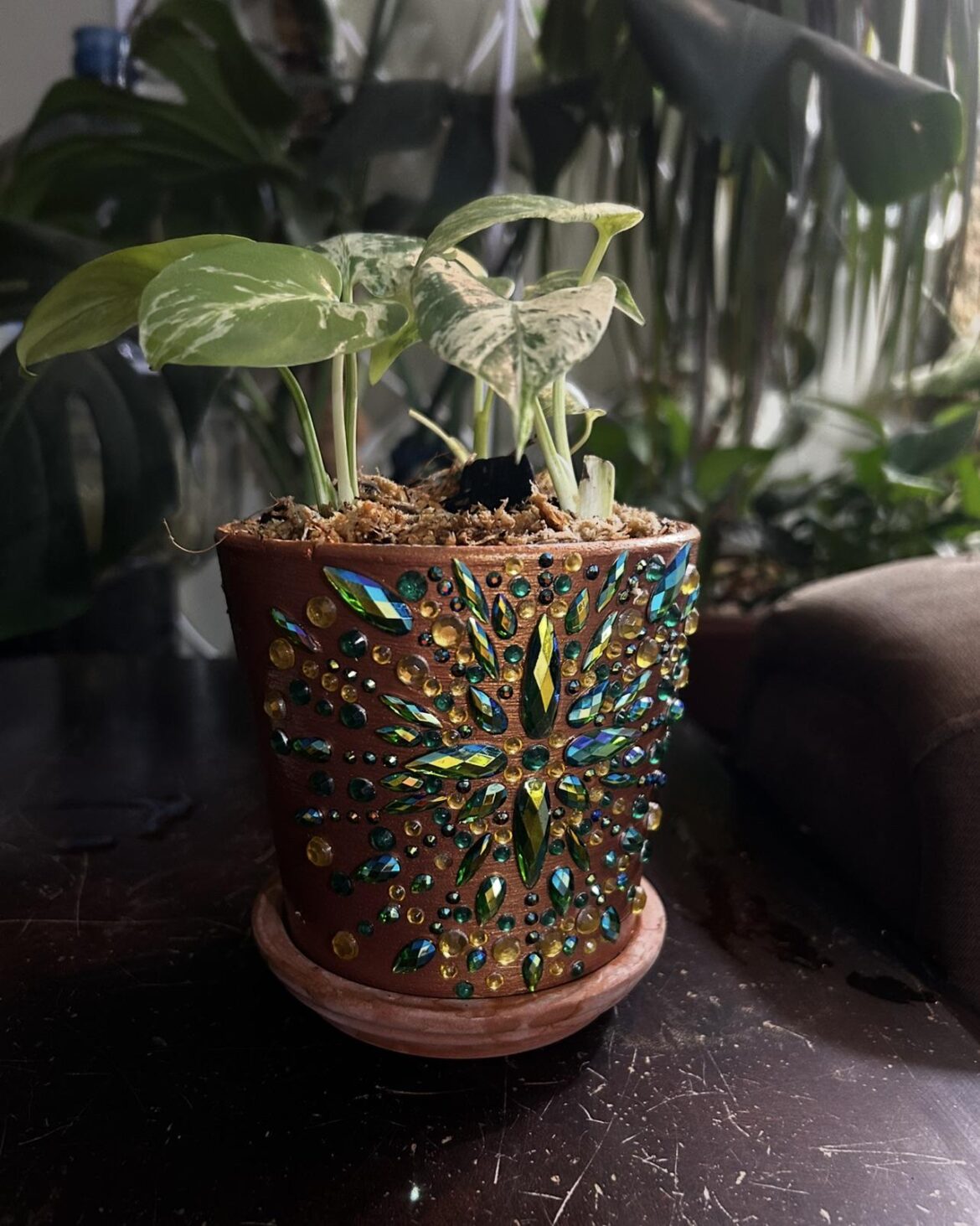 I have started crafting my own planters 🌱