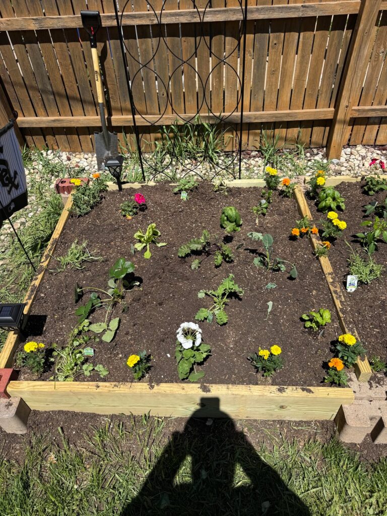 ruined raised bed ruined raised bed