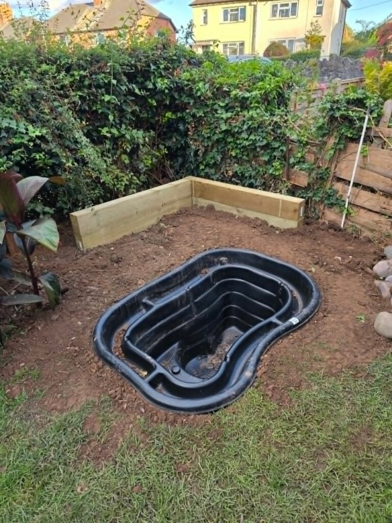 Eco pond progress from August 2025 to May 2026