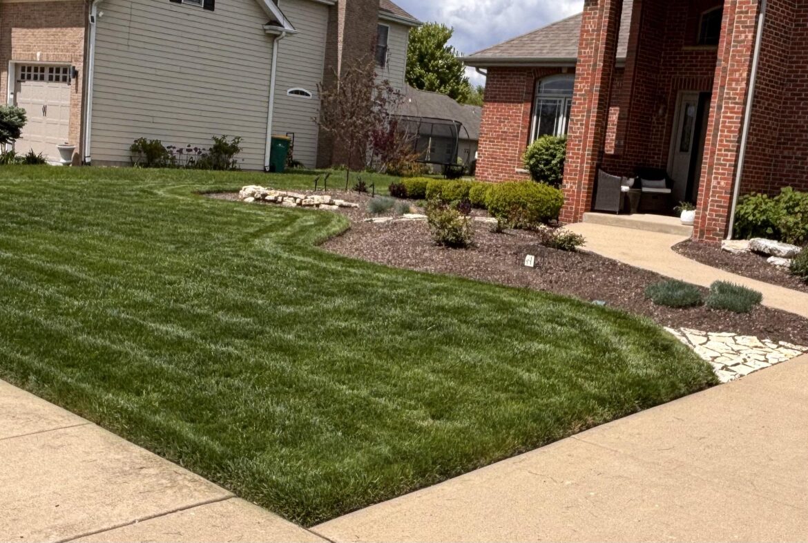 Lawn looking 👌🏾