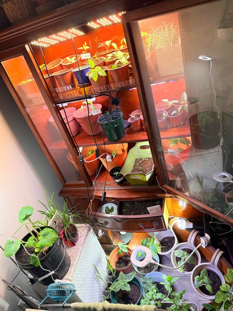 The indoor propagation station has officially taken over. Meet the greenhouse cabinet (and floor, and drawers...)