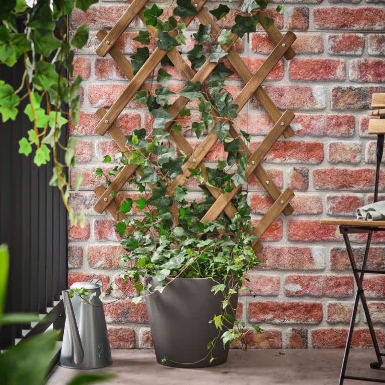 Askholmen Trellis