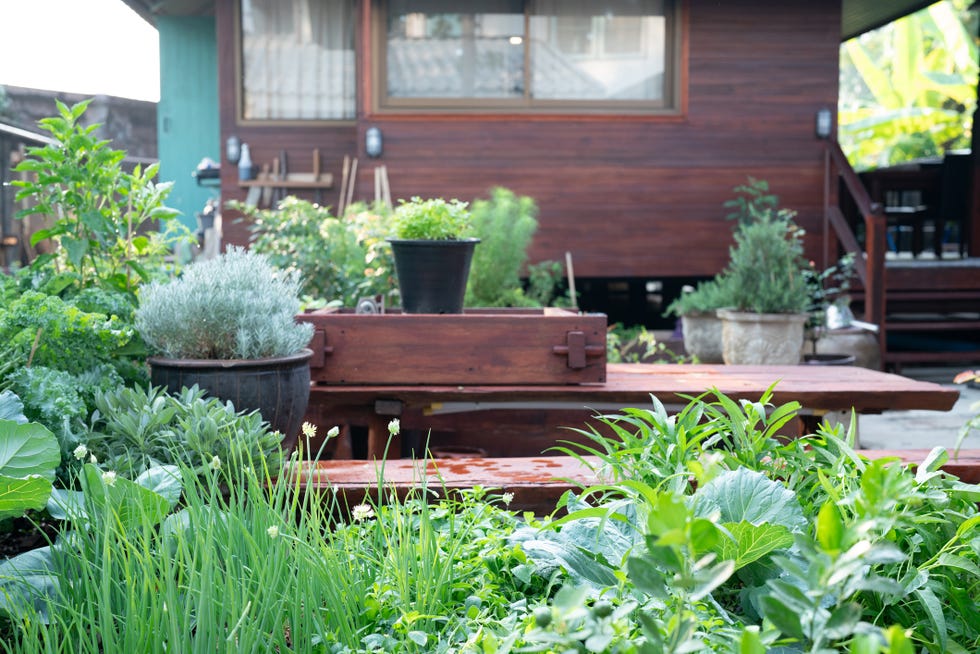 top gardening trends 2026 edibles