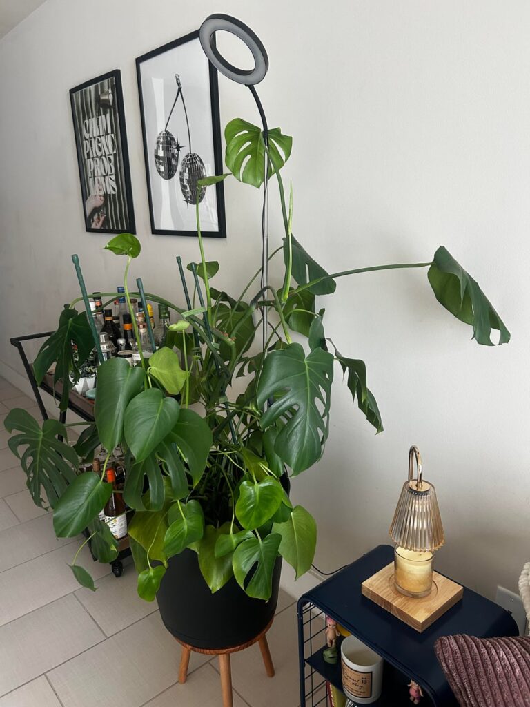 Please help :( roommate mad