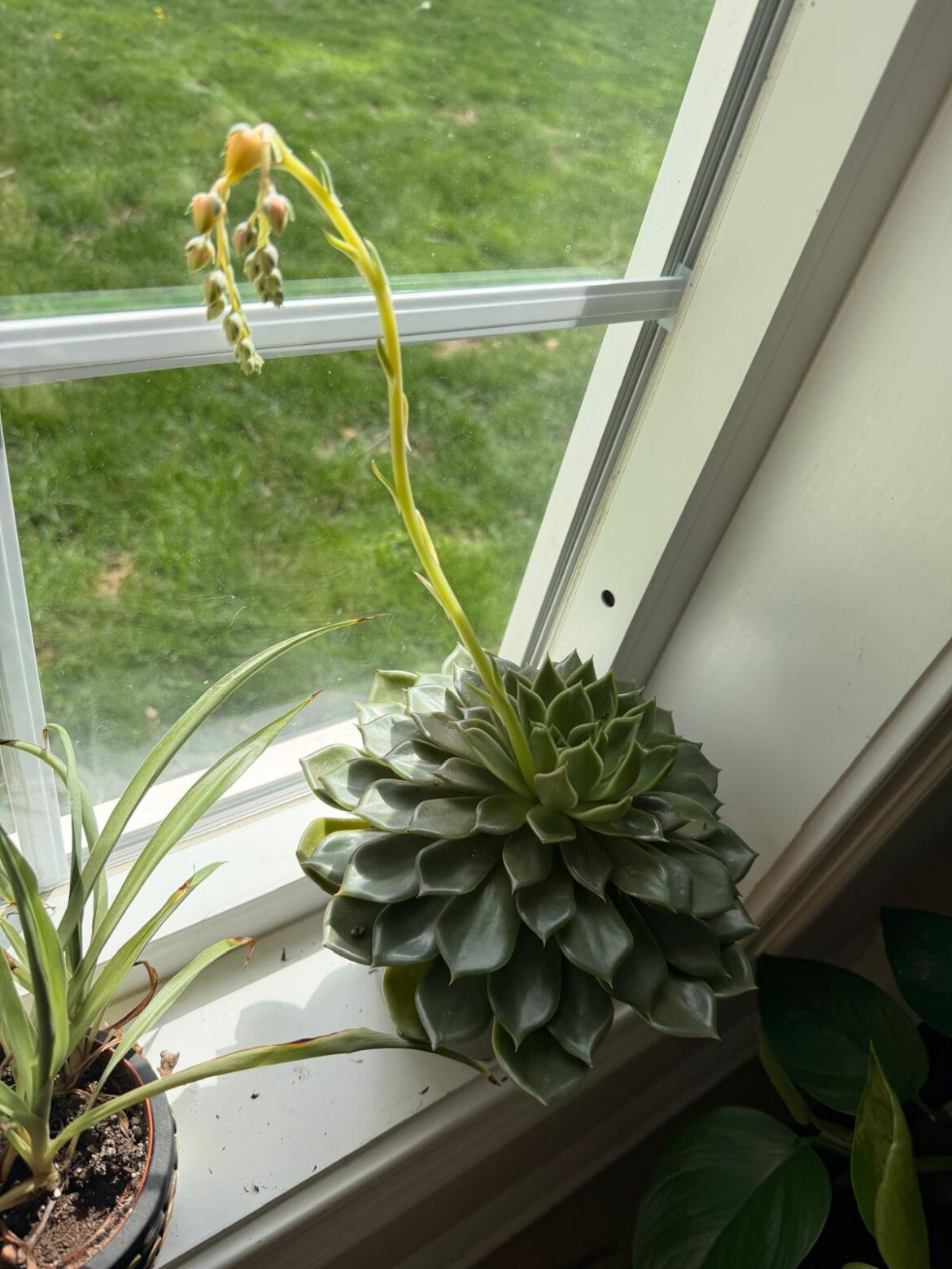 What do I do with this?