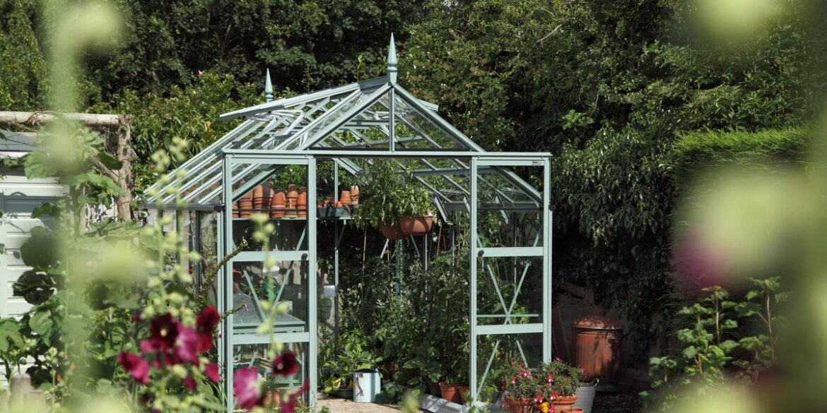 5 Dreamy British Greenhouse Trends for Your Backyard