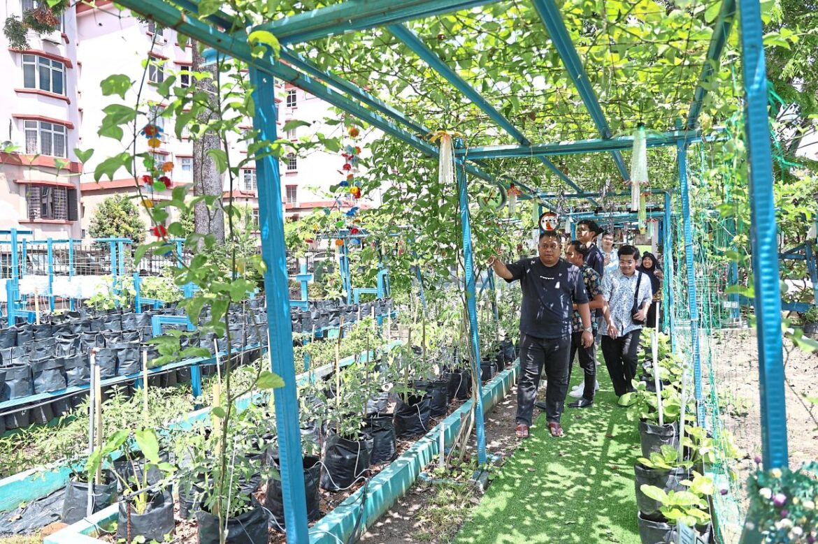 Garden roots deepen in USJ14 Garden roots deepen in USJ14