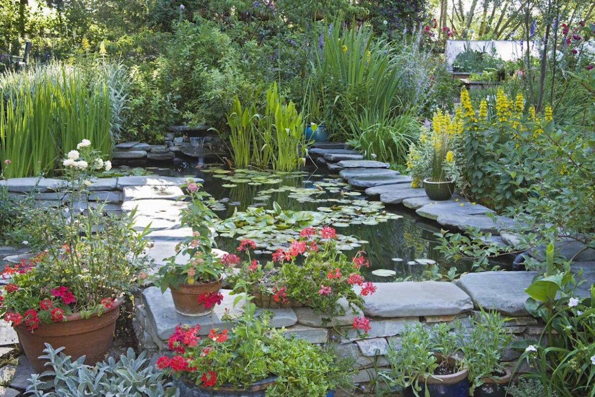 6 Common Landscaping Choices Gardeners Say Are Actually the Hardest to Maintain 6 Common Landscaping Choices Gardeners Say Are Actually the Hardest to Maintain