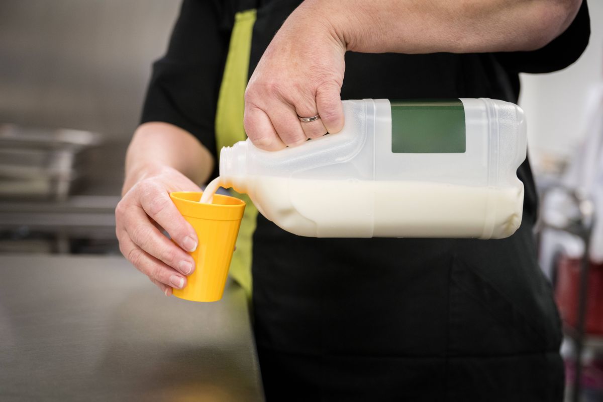 Close-up of mature Caucasian woman in black uniform pouring milk into yellow cup from plastic beverage container. / Female Focus Collection