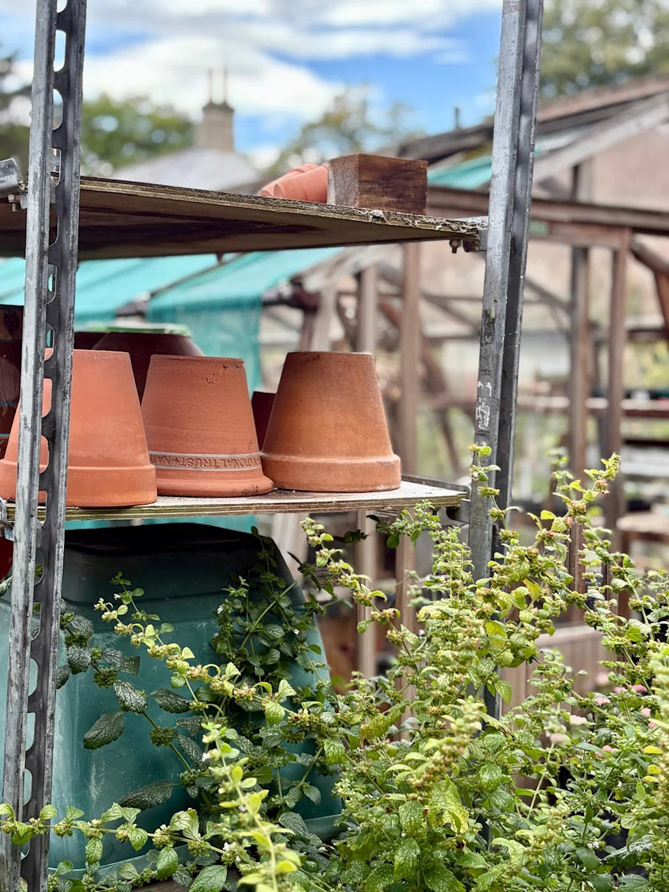 terracotta flower pots stacked on metal garden shelving
