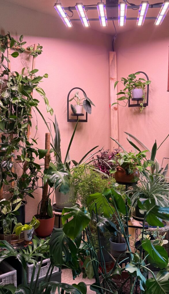 Jealous of (one of many) my parents plant set up