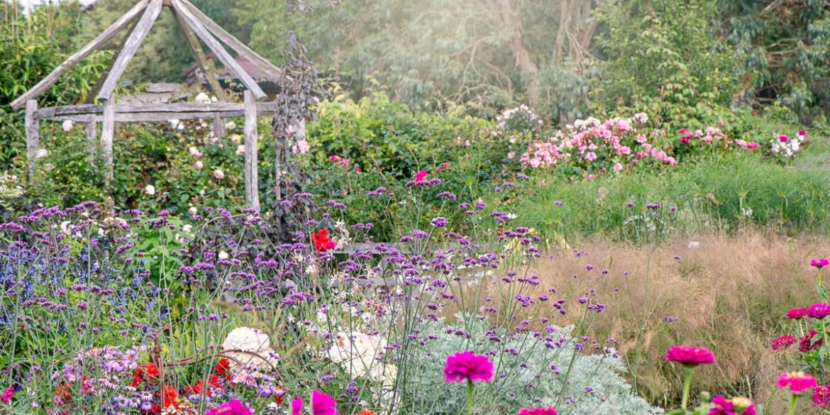 The 'cram, cram, cram' method is the genius trick to creating an instant country garden