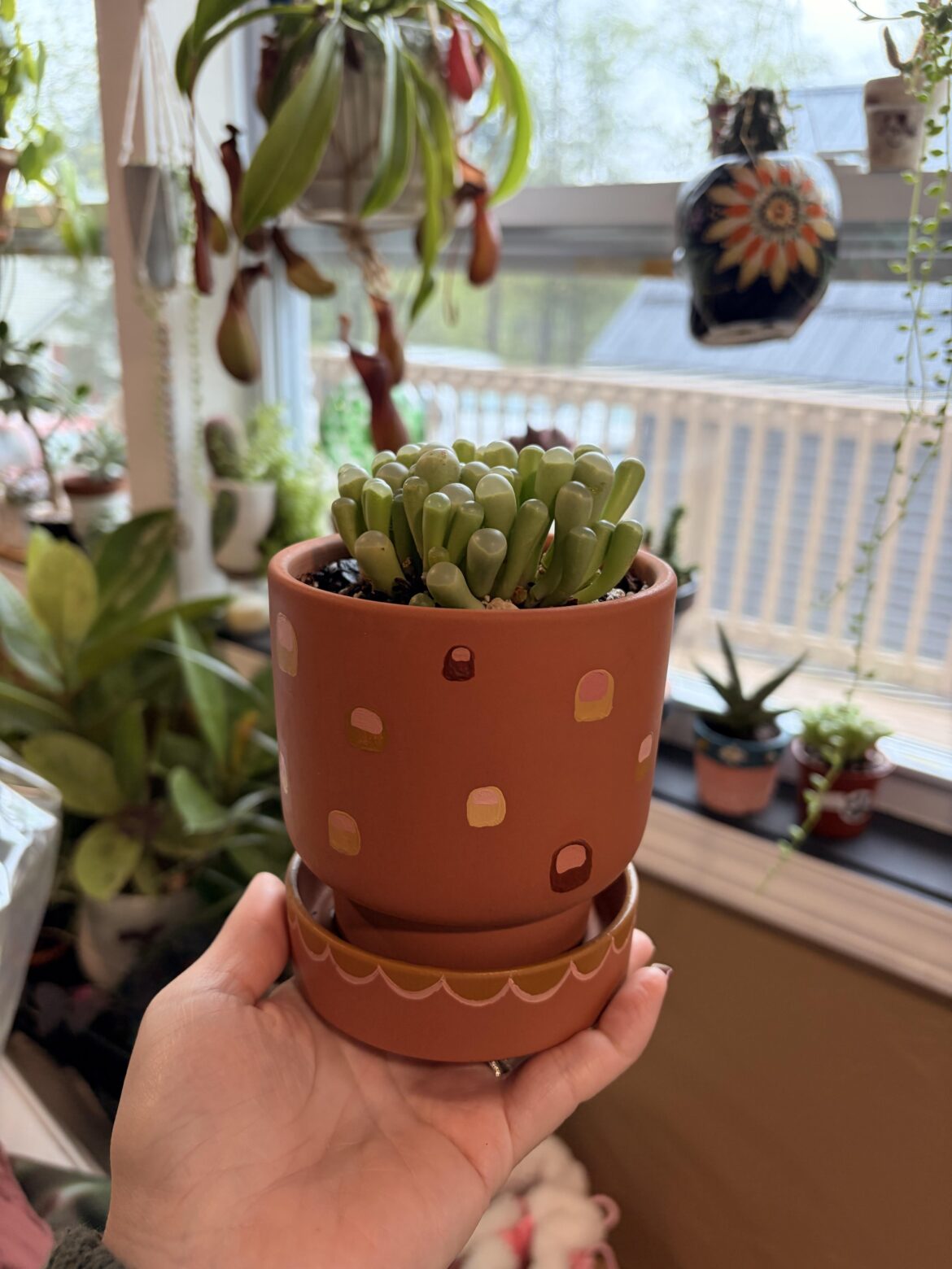 Toe Pot for Baby Toes