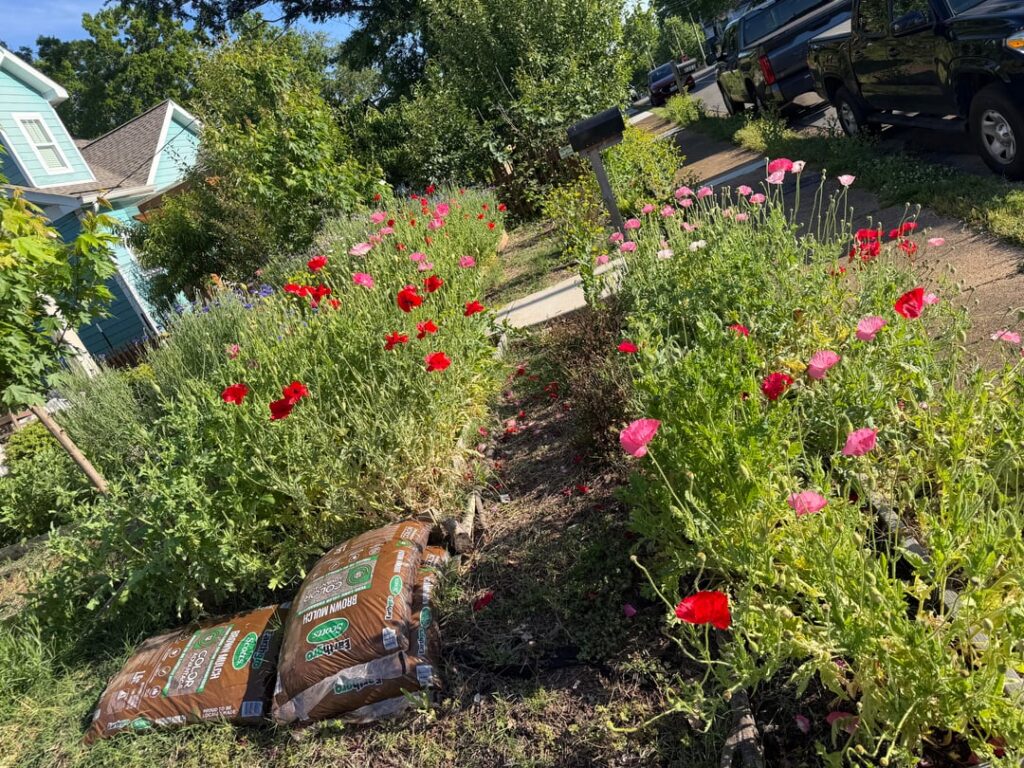 As a beekeeper, it’s so rewarding to see pollinators of all kinds flock to your yard