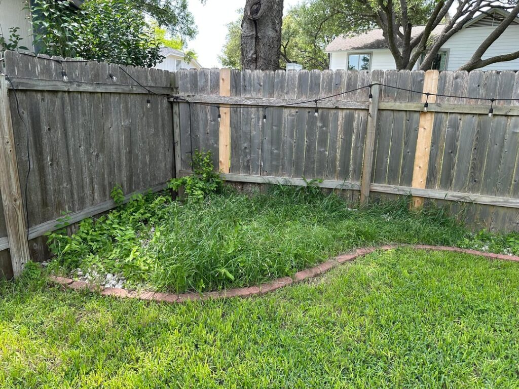 Converting a rock bed to a native garden