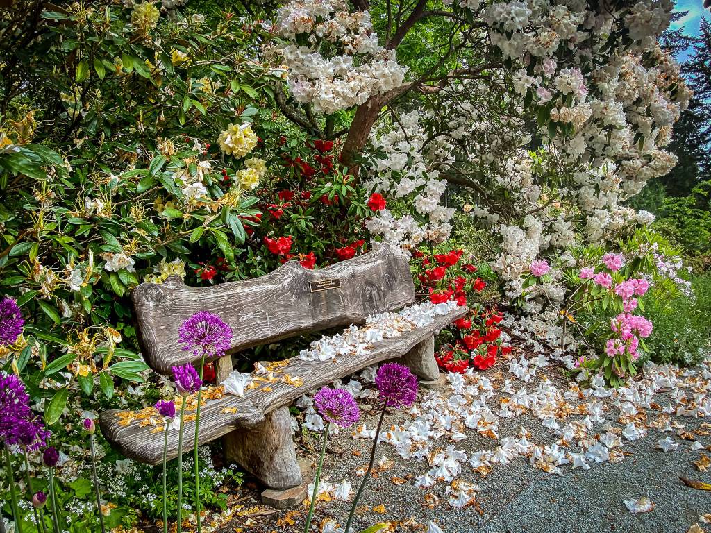 Celebrate Mother’s Day at garden concert photo